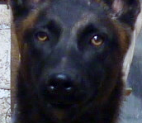 mati-closeup