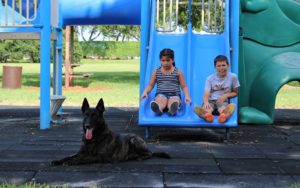 Children-Protection Dogs