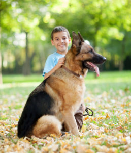 Personal Protection Dogs Increase Safety